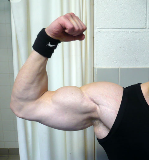 comment avoir des biceps en 1 semaine