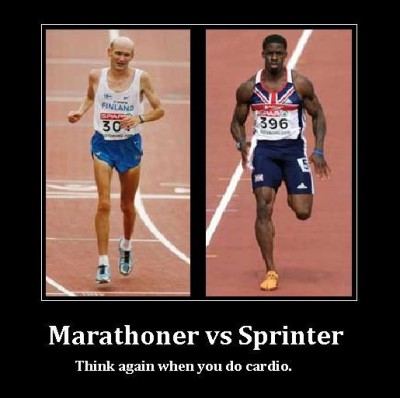 marathon-vs-sprinter.jpg
