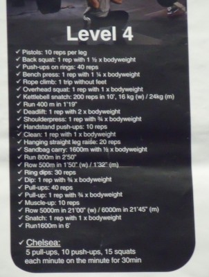level 4.jpg