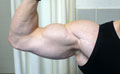Programme de musculation Super Biceps de SuperPhysique